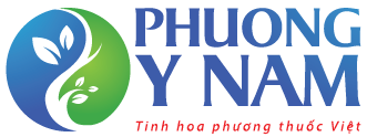 phuongynam.com